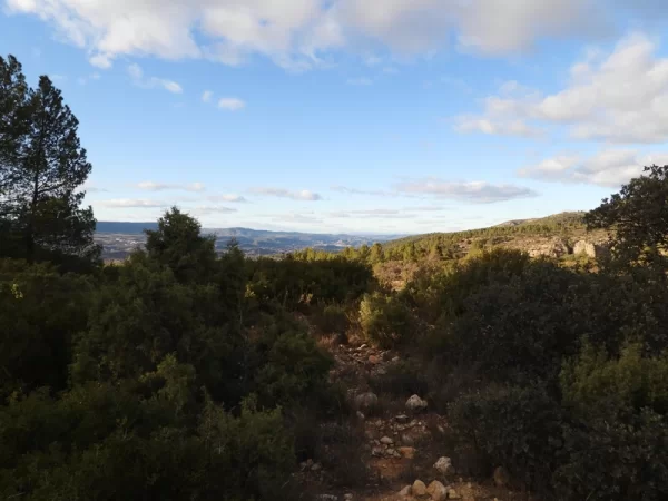 Auswandern nach Spanien
